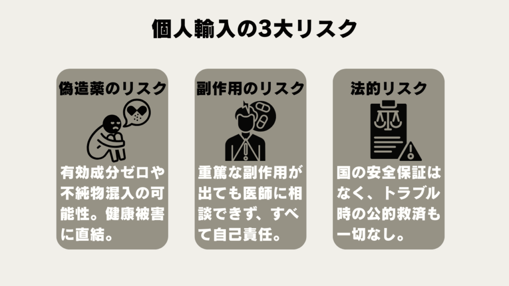 個人輸入の3大リスク まとめ図